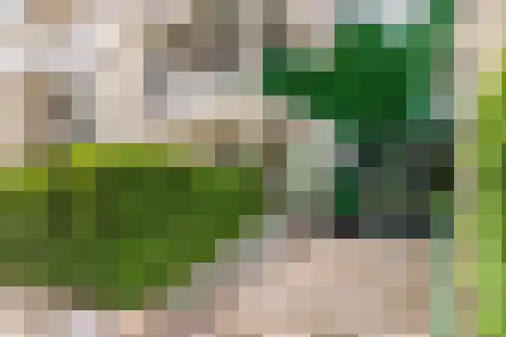 Wageningseberg 4 Utrecht thumbnail 5