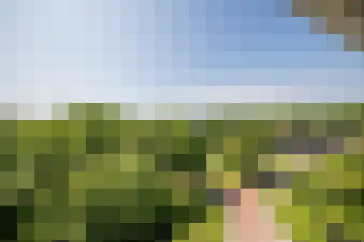 Wageningseberg 420 Utrecht thumbnail 11