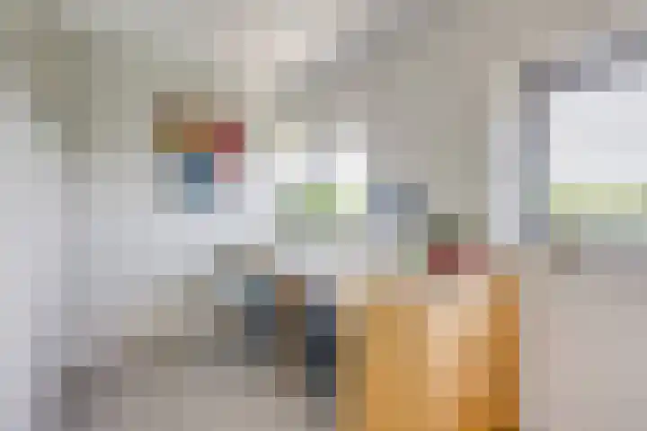 Wageningseberg 420 Utrecht thumbnail 15