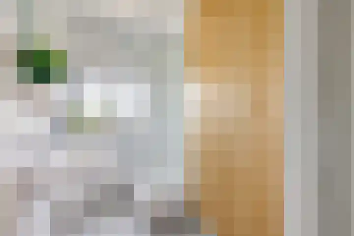 Wageningseberg 420 Utrecht thumbnail 17