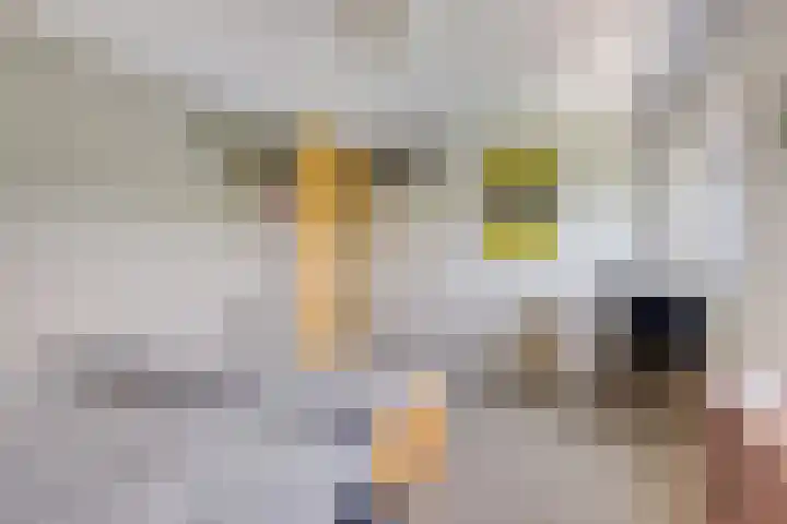 Wageningseberg 420 Utrecht thumbnail 19