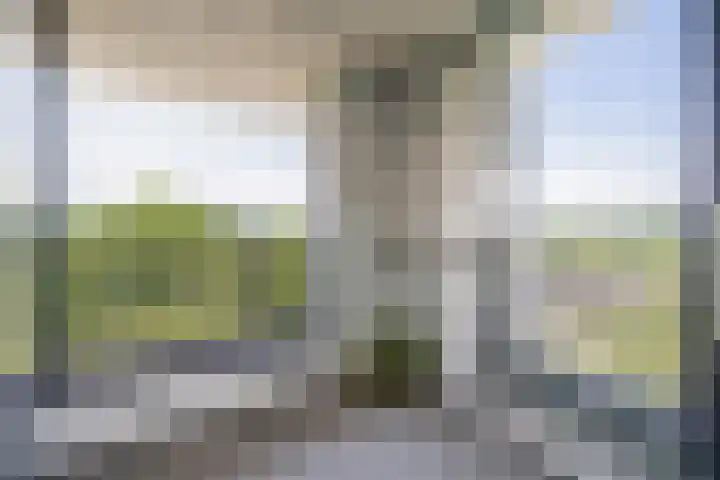 Wageningseberg 420 Utrecht thumbnail 4
