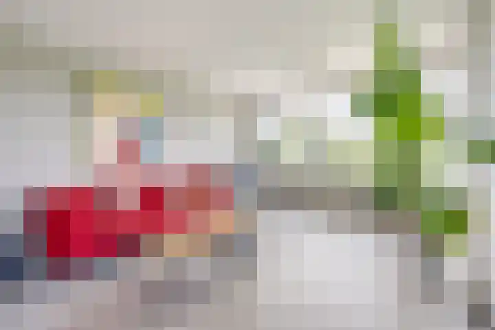 Wageningseberg 420 Utrecht thumbnail 7