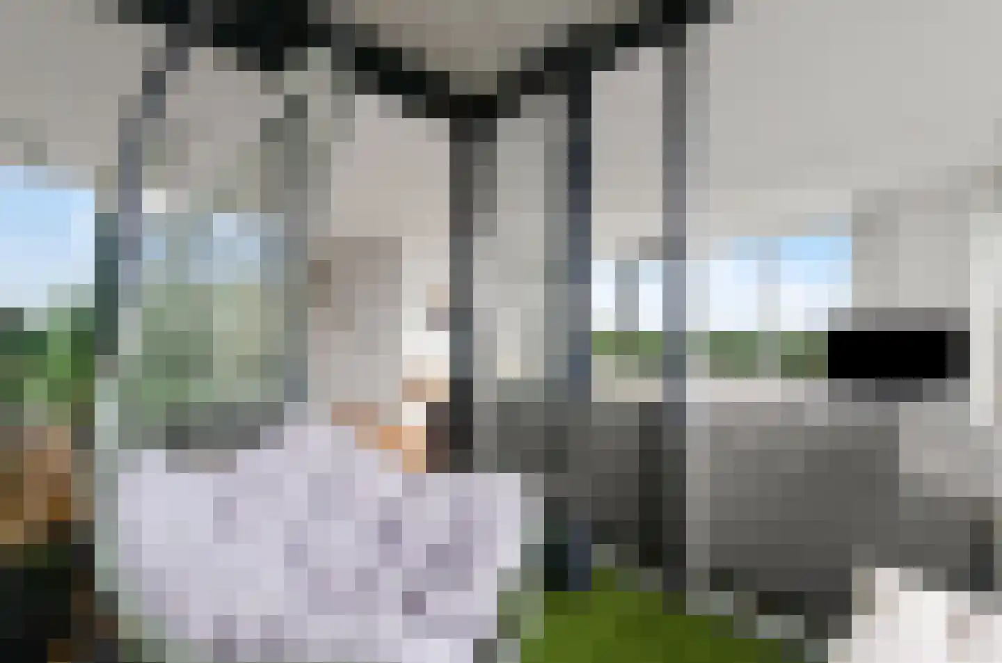 Wageningseberg 424 Utrecht thumbnail 18