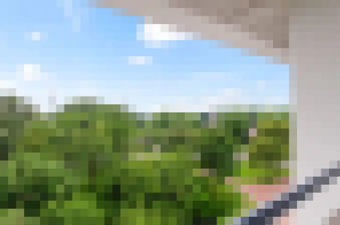 Wageningseberg 424 Utrecht thumbnail 20