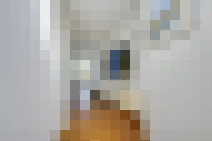 Wageningseberg 426 Utrecht thumbnail 18