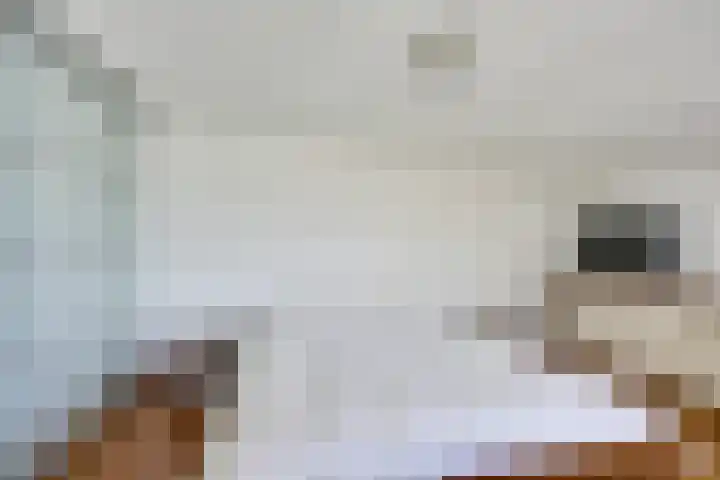 Wageningseberg 426 Utrecht thumbnail 22