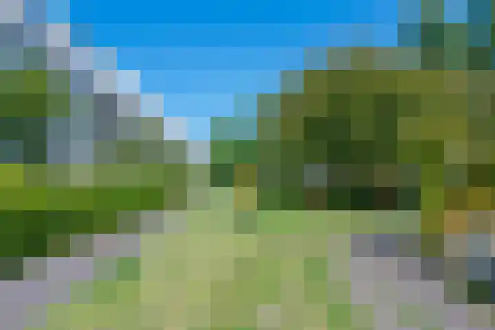 Wageningseberg 426 Utrecht thumbnail 34
