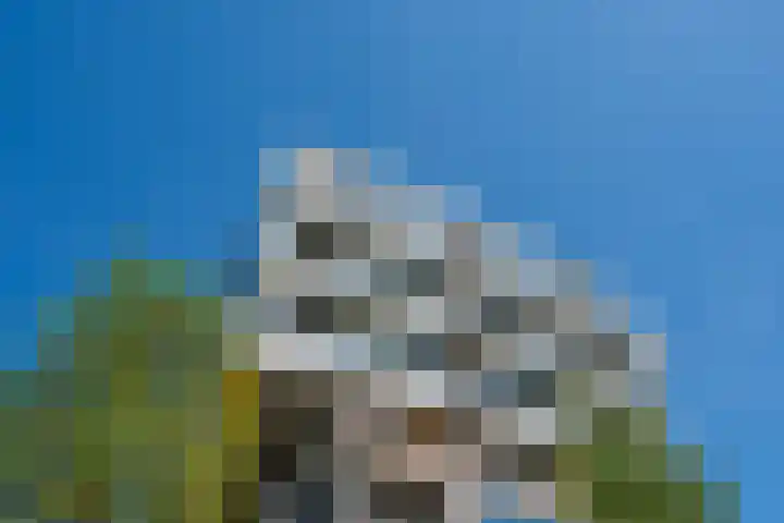 Wageningseberg 426 Utrecht thumbnail 36
