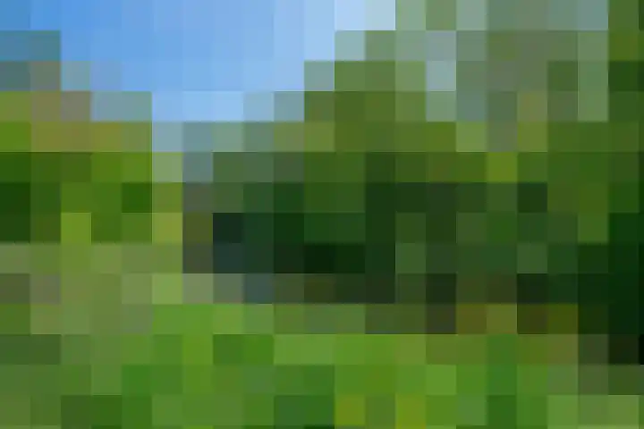 Wageningseberg 426 Utrecht thumbnail 37