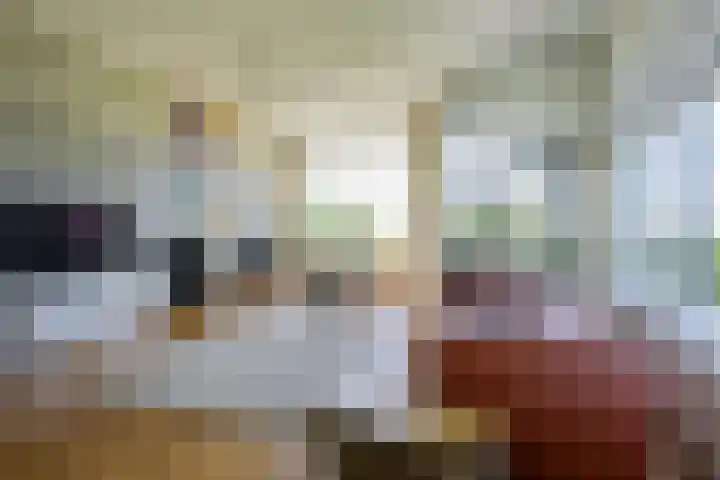 Wageningseberg 426 Utrecht thumbnail 6