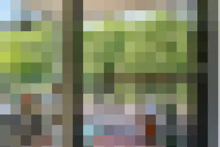 Wageningseberg 56 Utrecht thumbnail 16