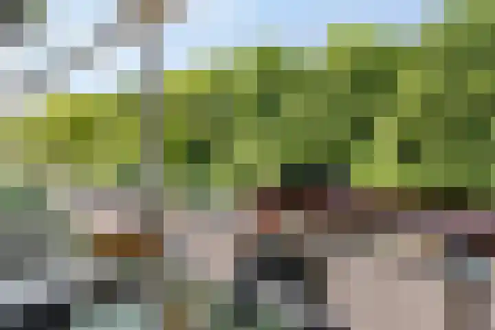 Wageningseberg 56 Utrecht thumbnail 17