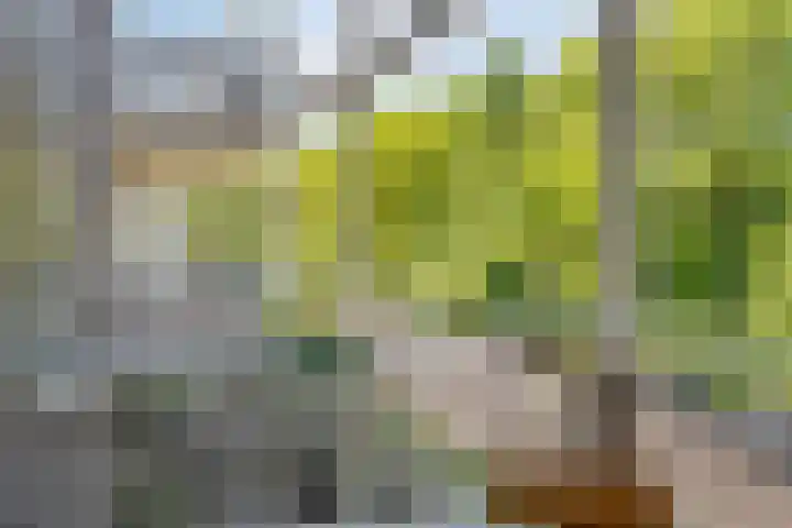 Wageningseberg 56 Utrecht thumbnail 18