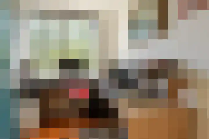 Wageningseberg 56 Utrecht thumbnail 26