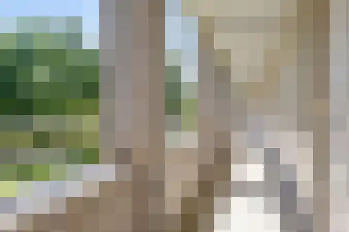 Wageningseberg 56 Utrecht thumbnail 30