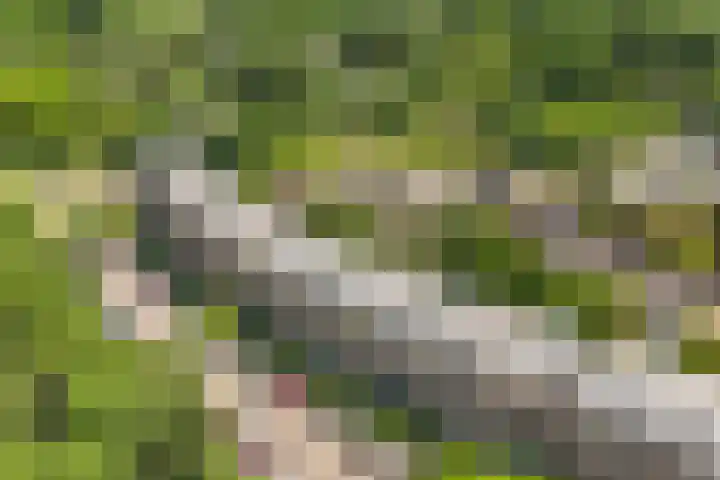 Wageningseberg 56 Utrecht thumbnail 32