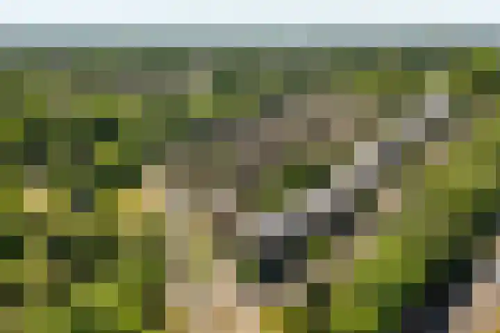 Wageningseberg 56 Utrecht thumbnail 33