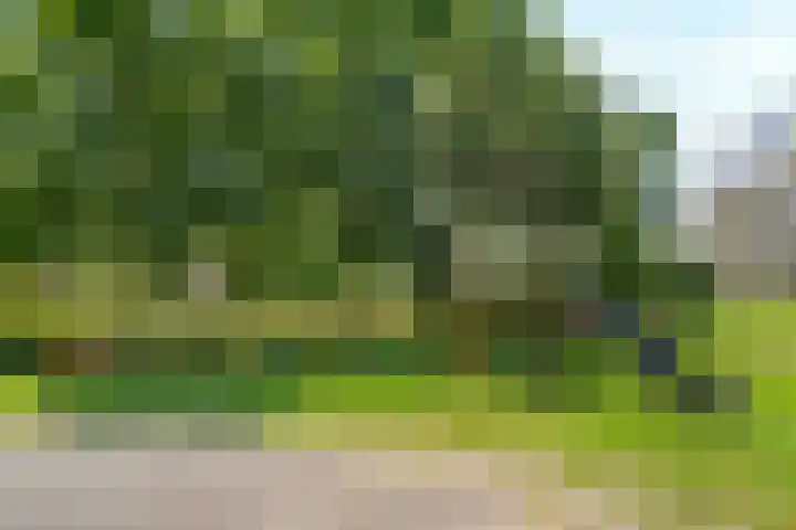 Wageningseberg 56 Utrecht thumbnail 34