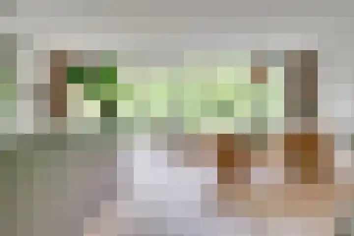 Wageningseberg 58 Utrecht thumbnail 10