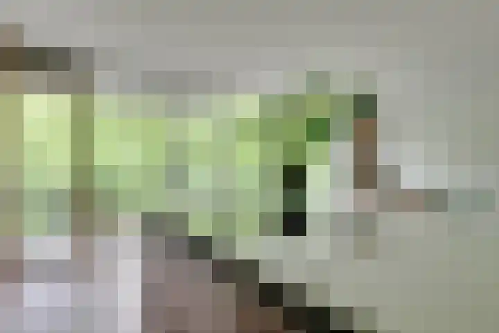 Wageningseberg 58 Utrecht thumbnail 11