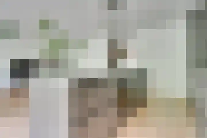 Wageningseberg 58 Utrecht thumbnail 14