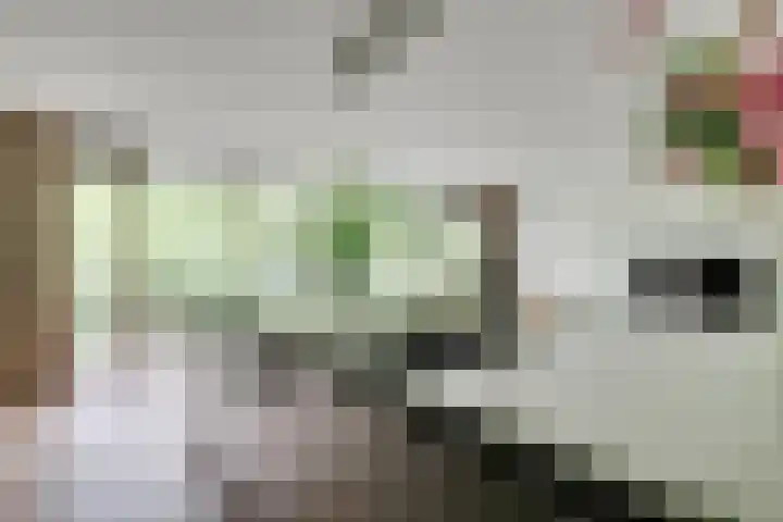 Wageningseberg 58 Utrecht thumbnail 15