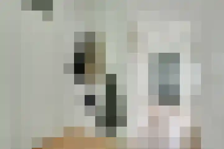 Wageningseberg 58 Utrecht thumbnail 17