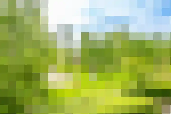 Wageningseberg 58 Utrecht thumbnail 32