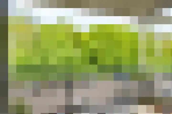 Wageningseberg 58 Utrecht thumbnail 33