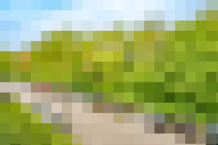 Wageningseberg 58 Utrecht thumbnail 34