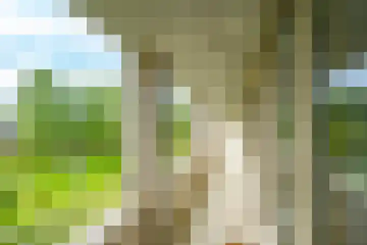 Wageningseberg 58 Utrecht thumbnail 35