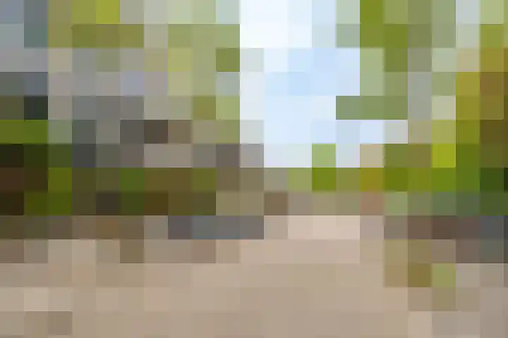 Wageningseberg 58 Utrecht thumbnail 39