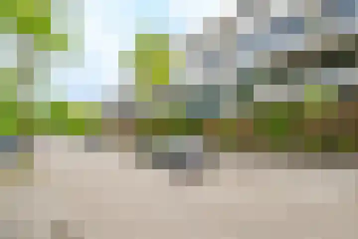 Wageningseberg 58 Utrecht thumbnail 40
