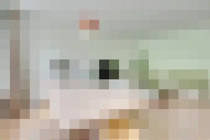 Wageningseberg 58 Utrecht thumbnail 5