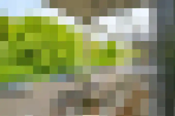 Wageningseberg 58 Utrecht thumbnail 6