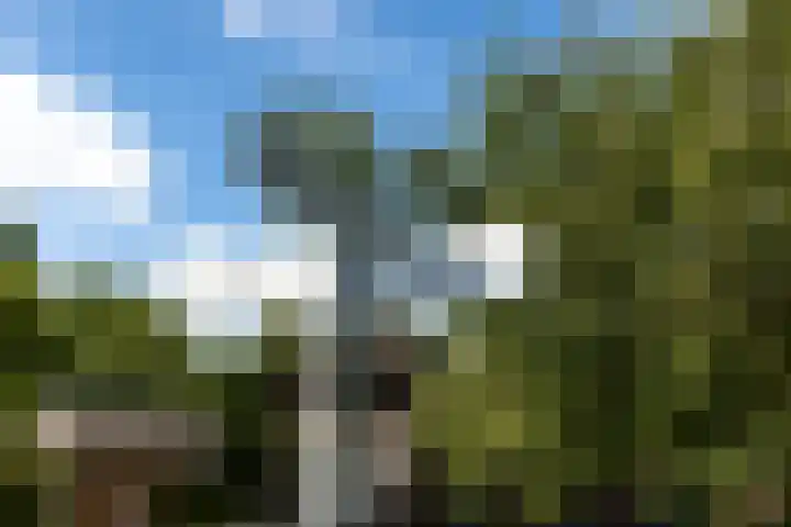 Wageningsestraat 2 a Andelst thumbnail 106