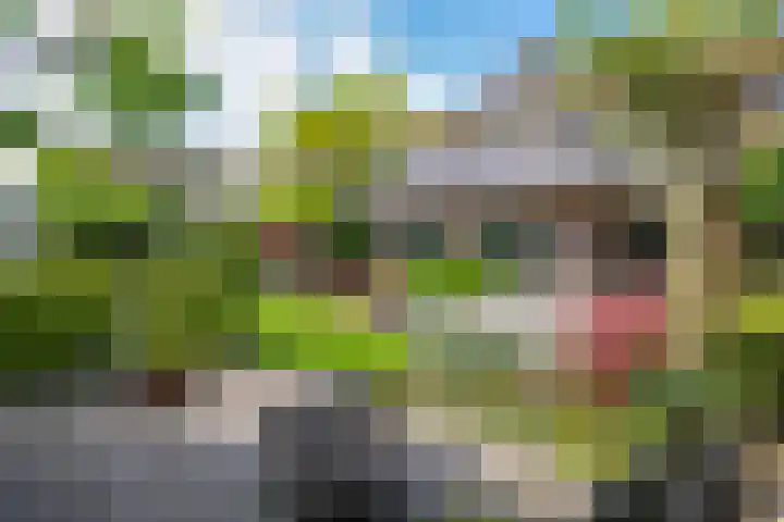 Wageningsestraat 2 a Andelst thumbnail 81