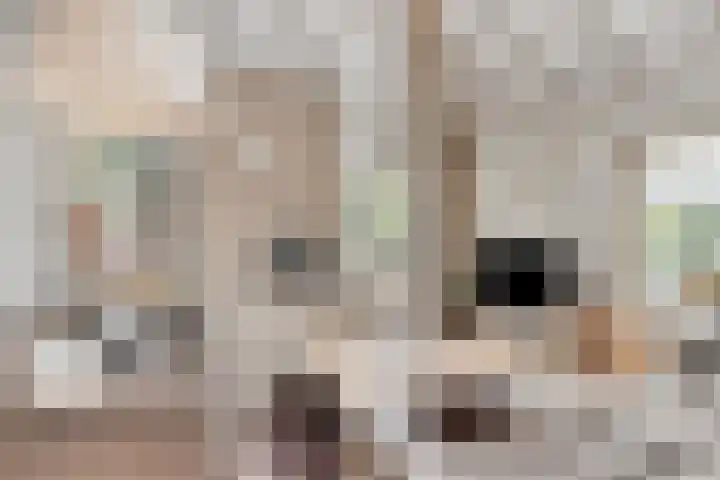Wageningsestraat 53 Zetten thumbnail 10