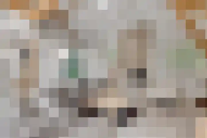 Wageningsestraat 53 Zetten thumbnail 12