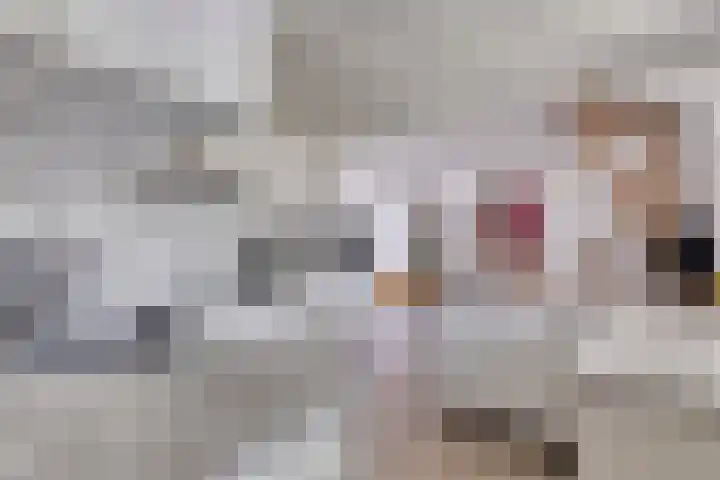 Wageningsestraat 53 Zetten thumbnail 20