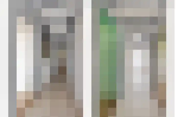 Wageningsestraat 53 Zetten thumbnail 26