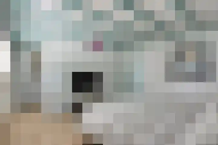 Wageningsestraat 53 Zetten thumbnail 33