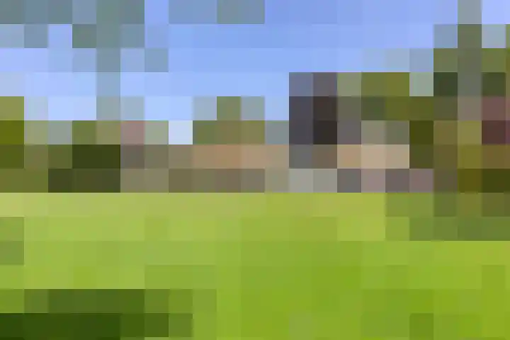 Wageningsestraat 53 Zetten thumbnail 4
