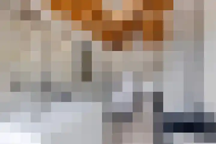 Wageningsestraat 53 Zetten thumbnail 41