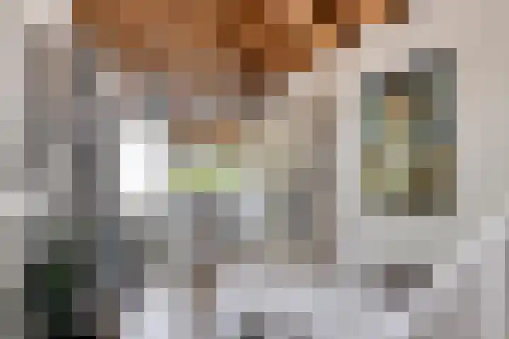 Wageningsestraat 53 Zetten thumbnail 42