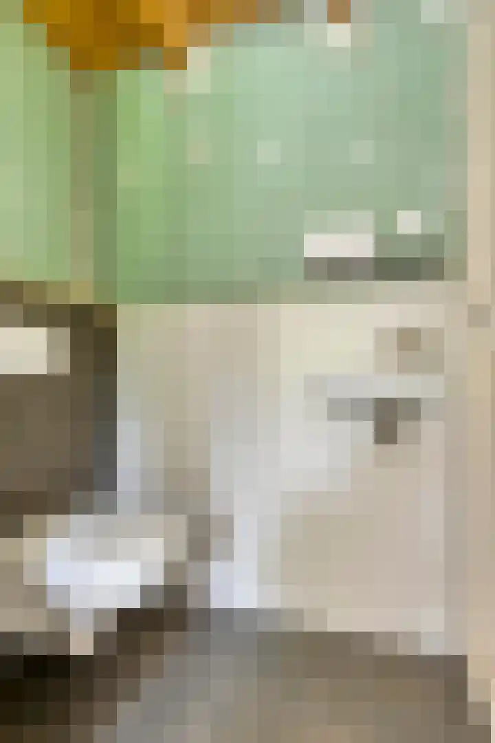 Wageningsestraat 53 Zetten thumbnail 43