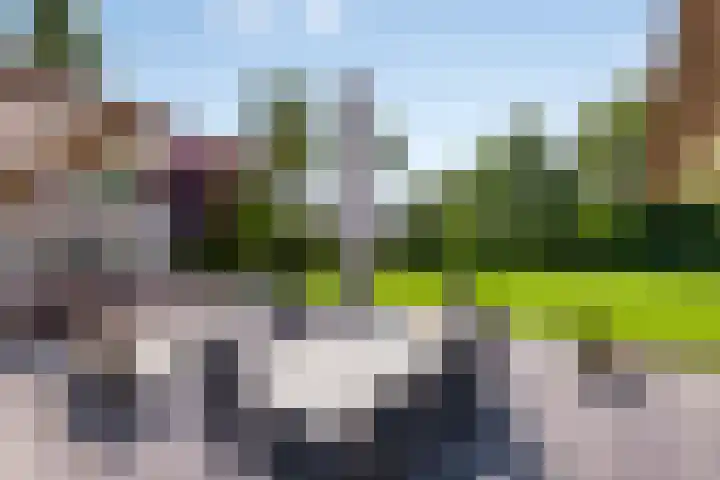 Wageningsestraat 53 Zetten thumbnail 49