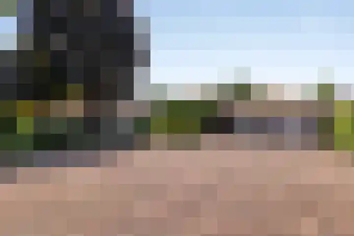 Wageningsestraat 53 Zetten thumbnail 5