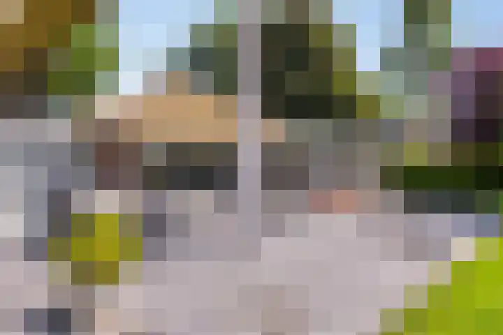 Wageningsestraat 53 Zetten thumbnail 52
